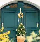 k300ol.jpg (10804 Byte)